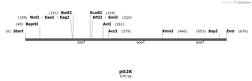 137138_map
