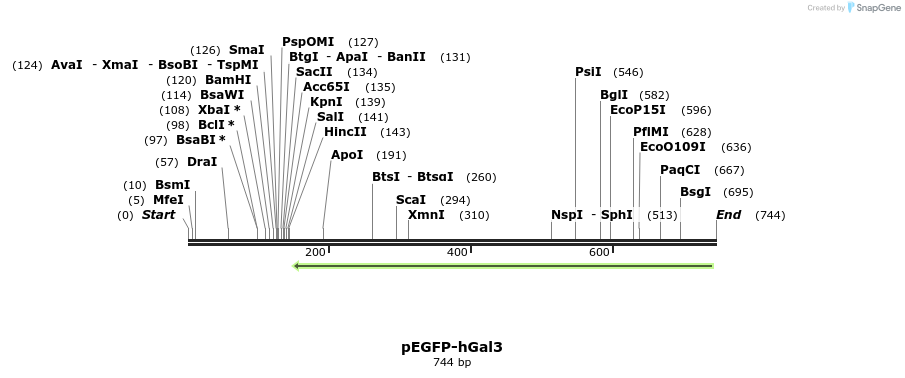 137143_map