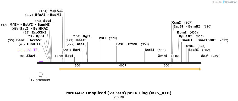 137148_map