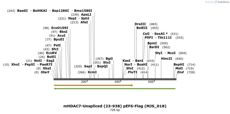 137151_map