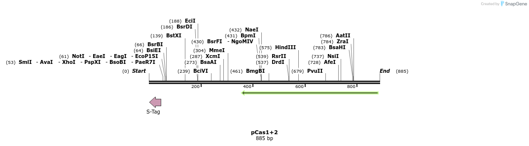 137160_map