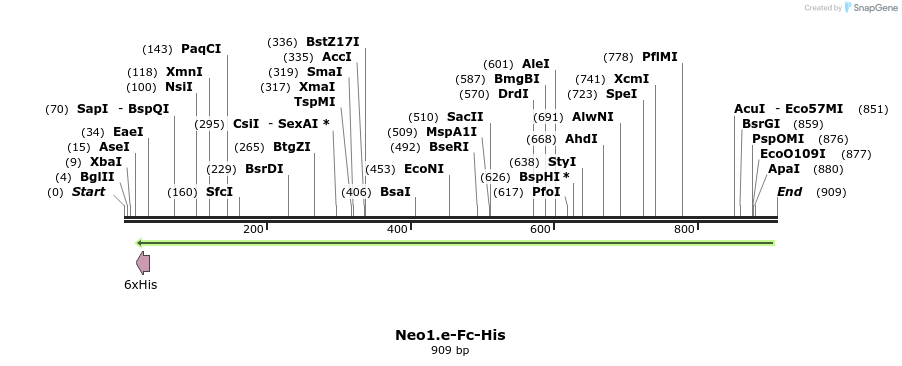 137166_map