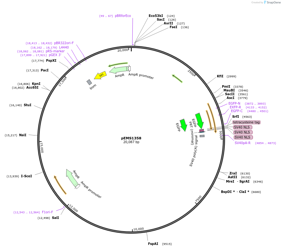 13717_map