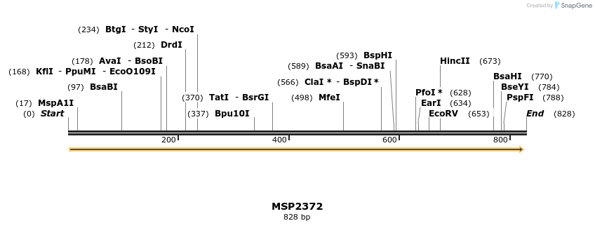 137173_map