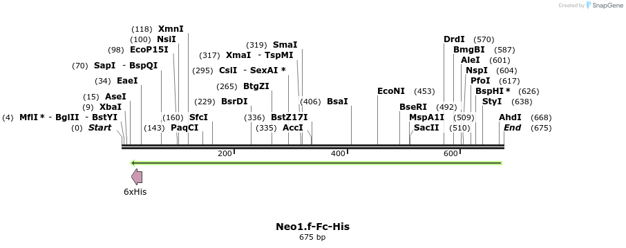 137179_map
