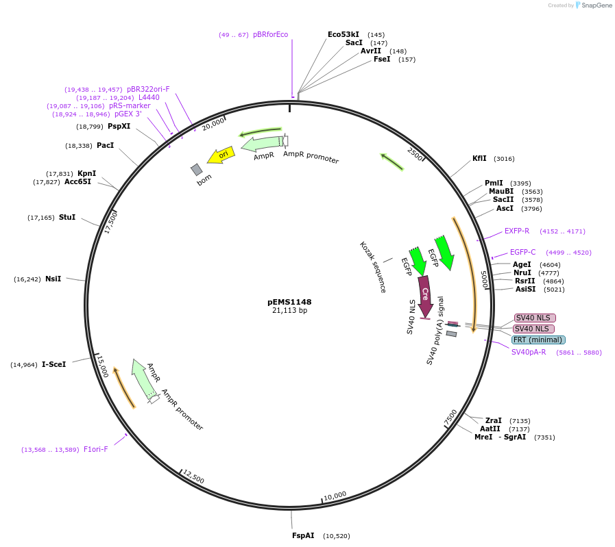 13718_map