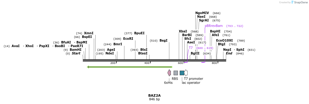 137185_map