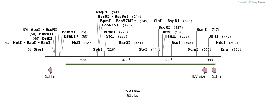 137190_map
