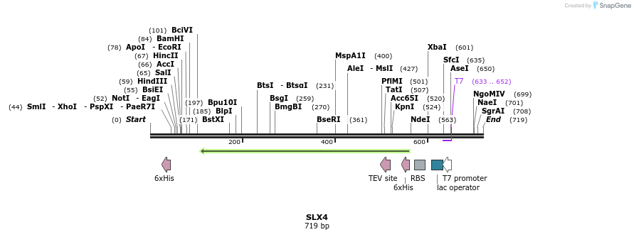 137192_map