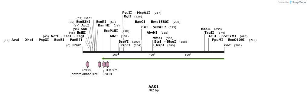 137198_map
