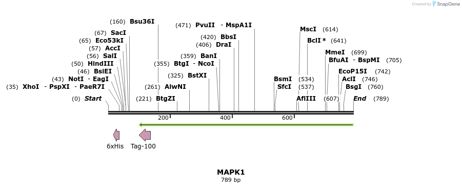 137203_map