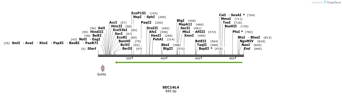 137210_map