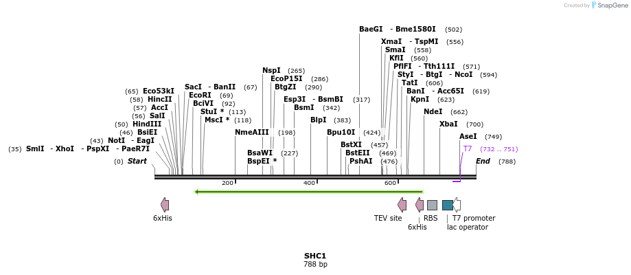 137213_map