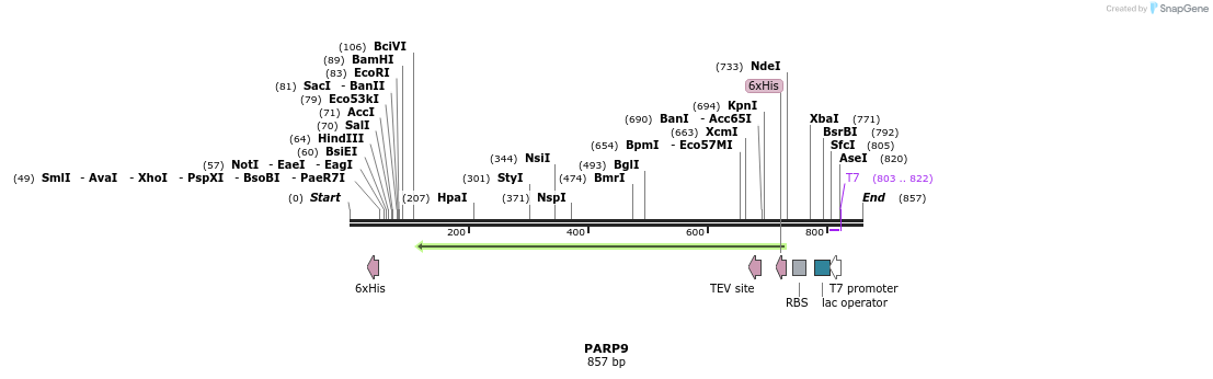 137214_map