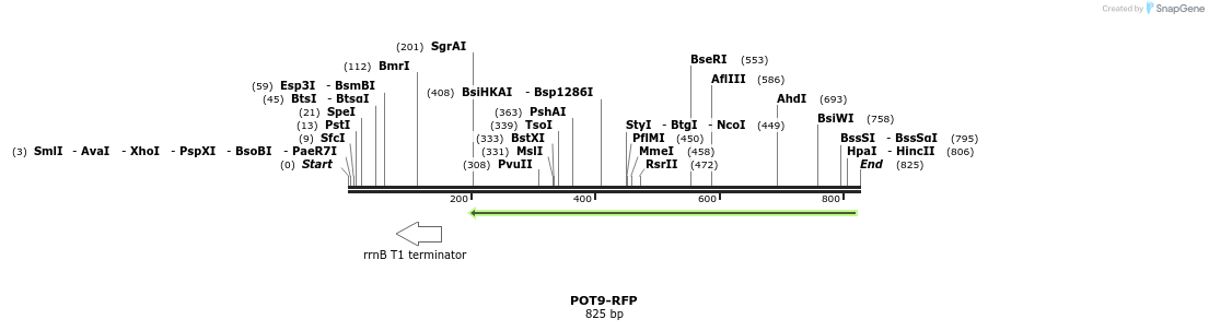 137218_map