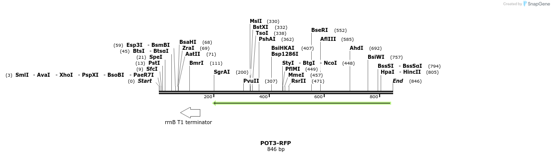 137220_map