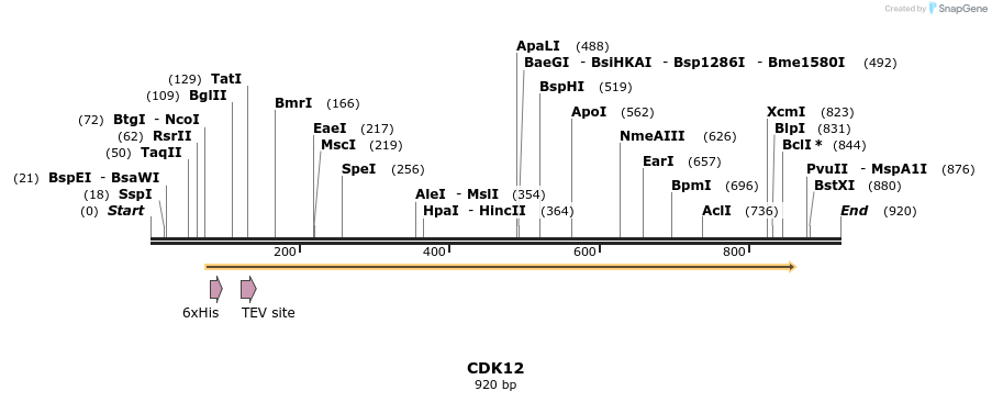 137227_map
