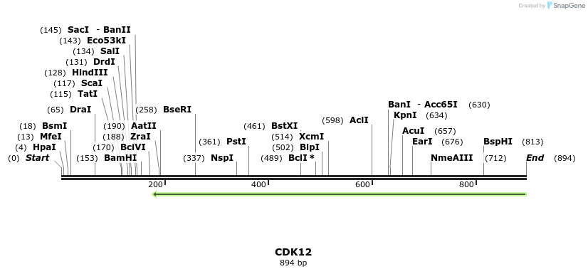 137228_map