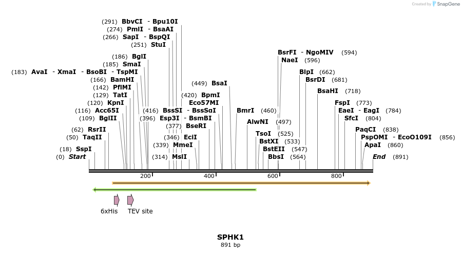 137230_map