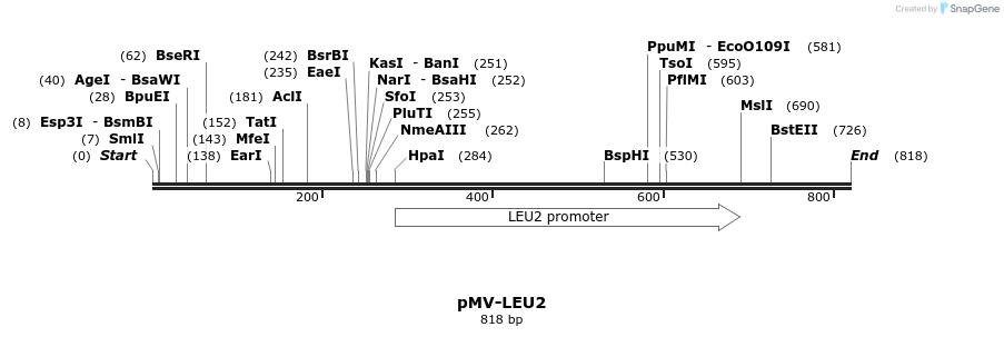 137233_map