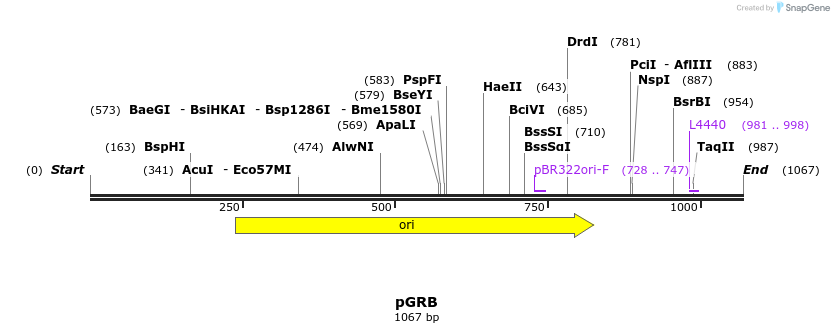 137245_map
