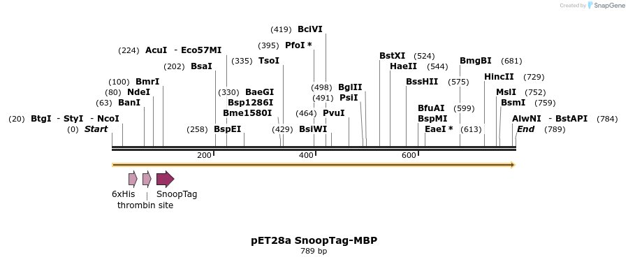 137254_map