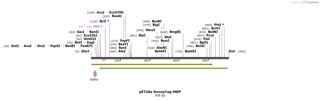 137255_map