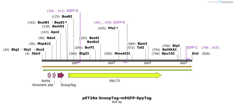 137257_map