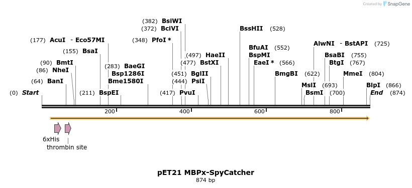 137260_map