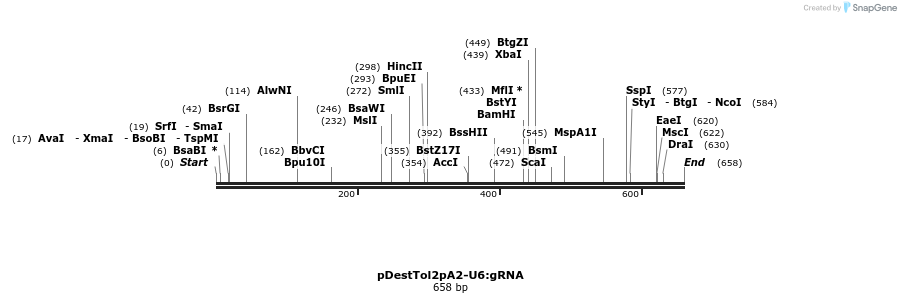 137264_map