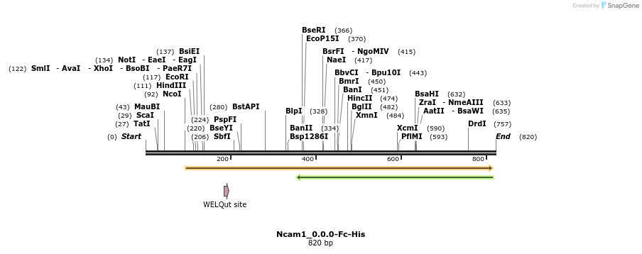 137265_map