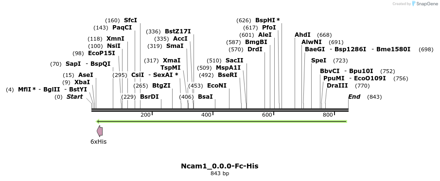 137266_map