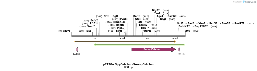 137268_map