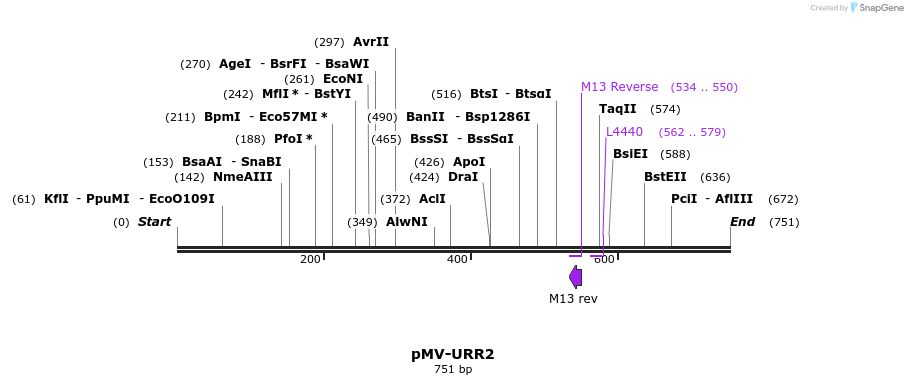 137269_map