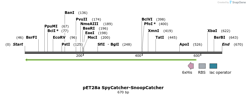 137270_map