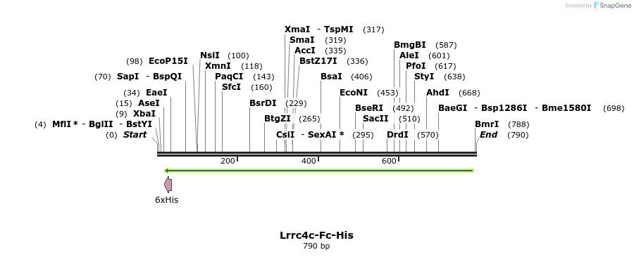 137272_map