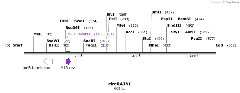137274_map