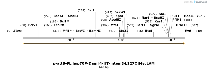 137275_map
