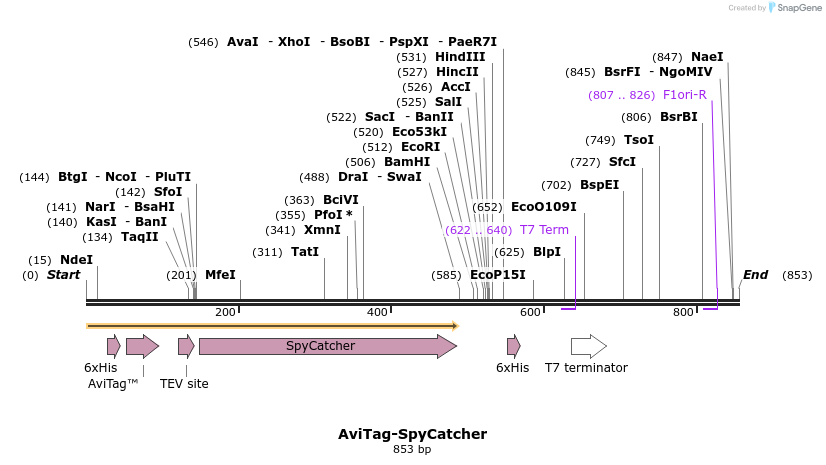 137278_map
