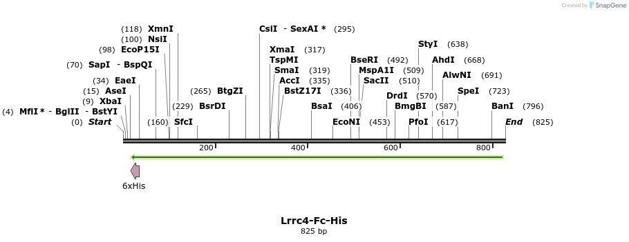 137279_map