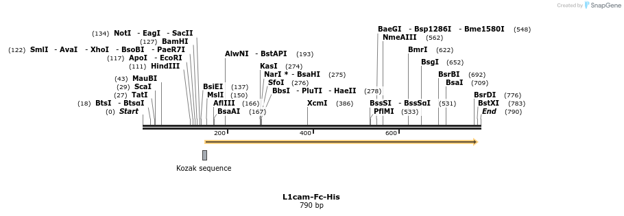 137282_map