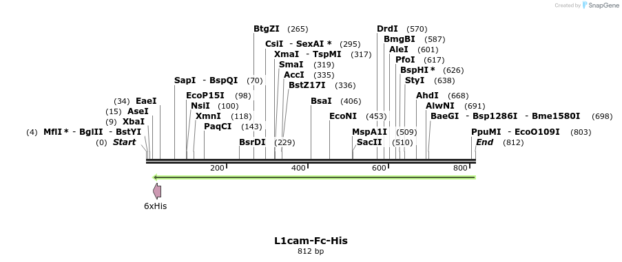 137283_map