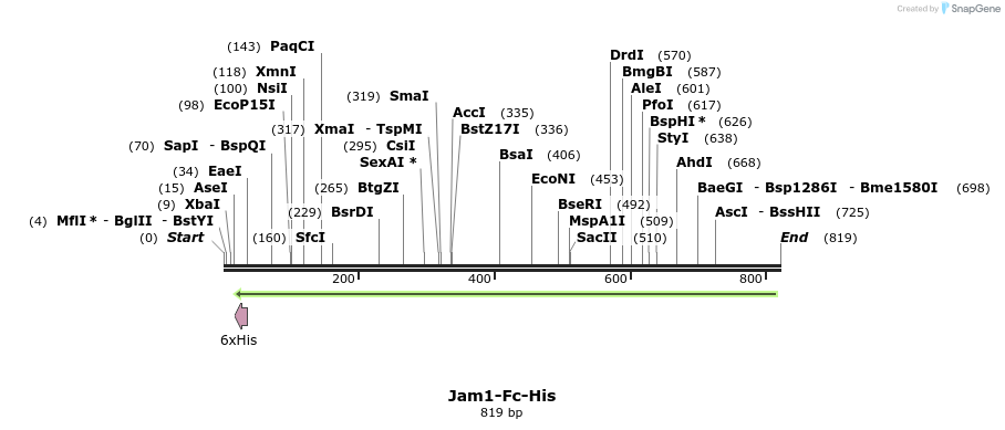 137285_map