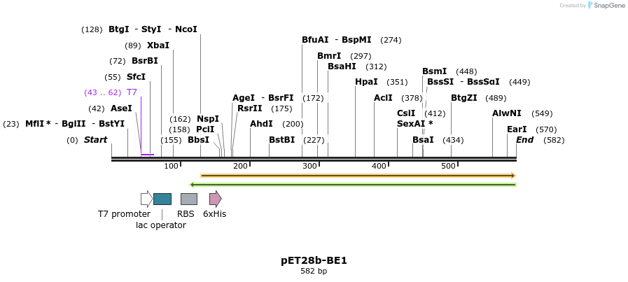 137286_map