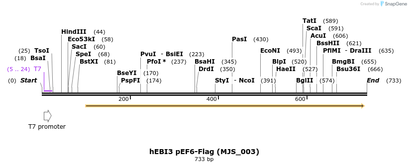 137288_map