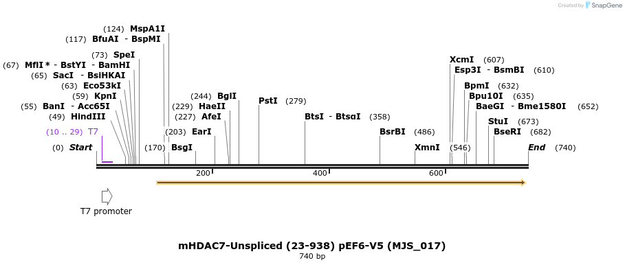 137293_map