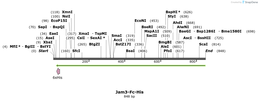 137296_map