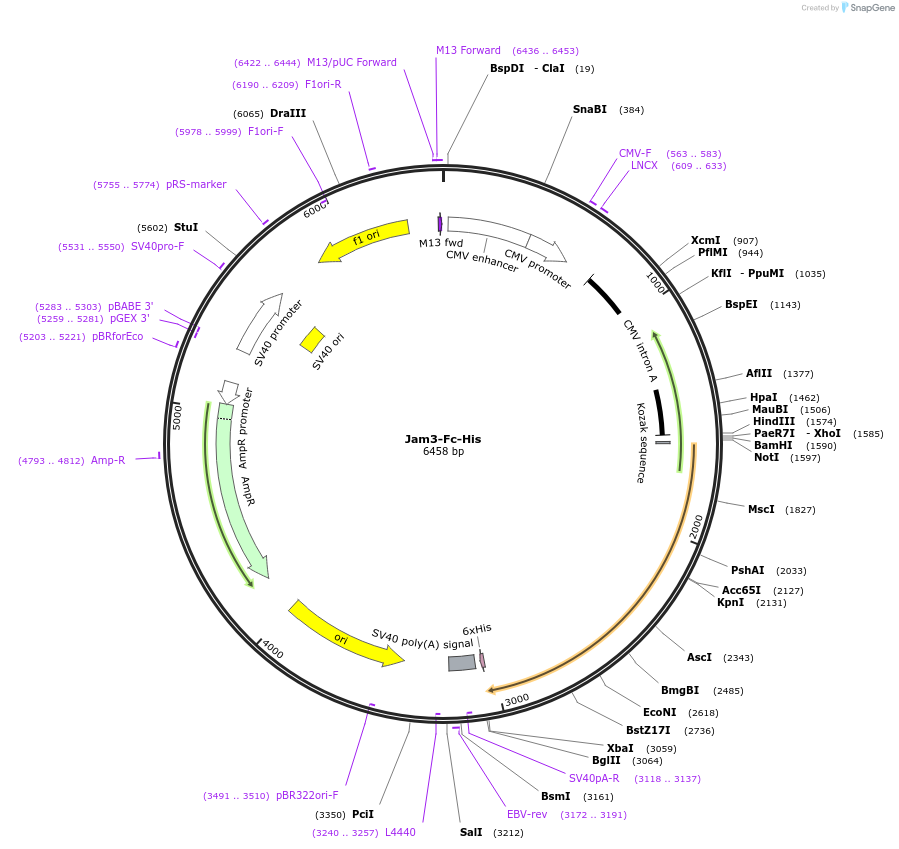 137297_map