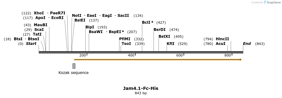 137300_map