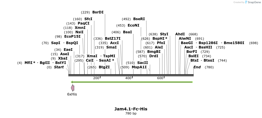 137301_map